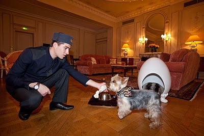 Ma nuit au Meurice...