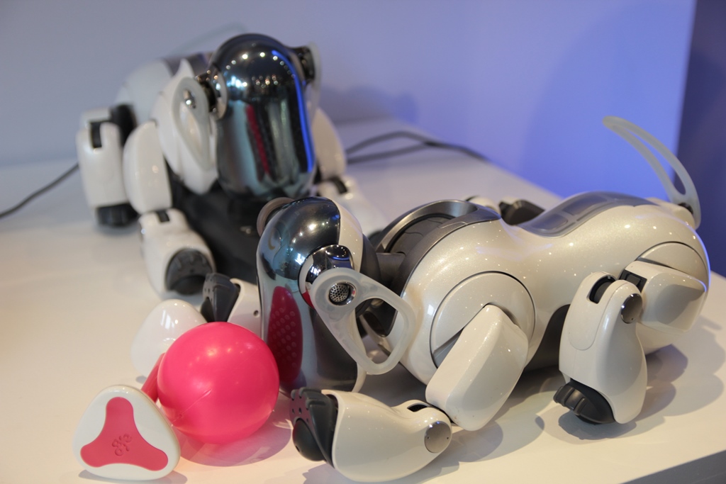 aibo-le-chien-robot-cetelem-60 ans