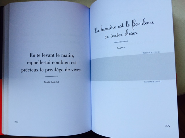 Livre Zen Larousse
