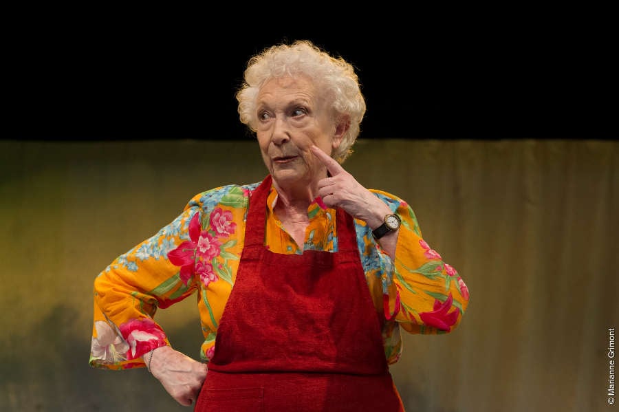 Conversations avec ma Mère 