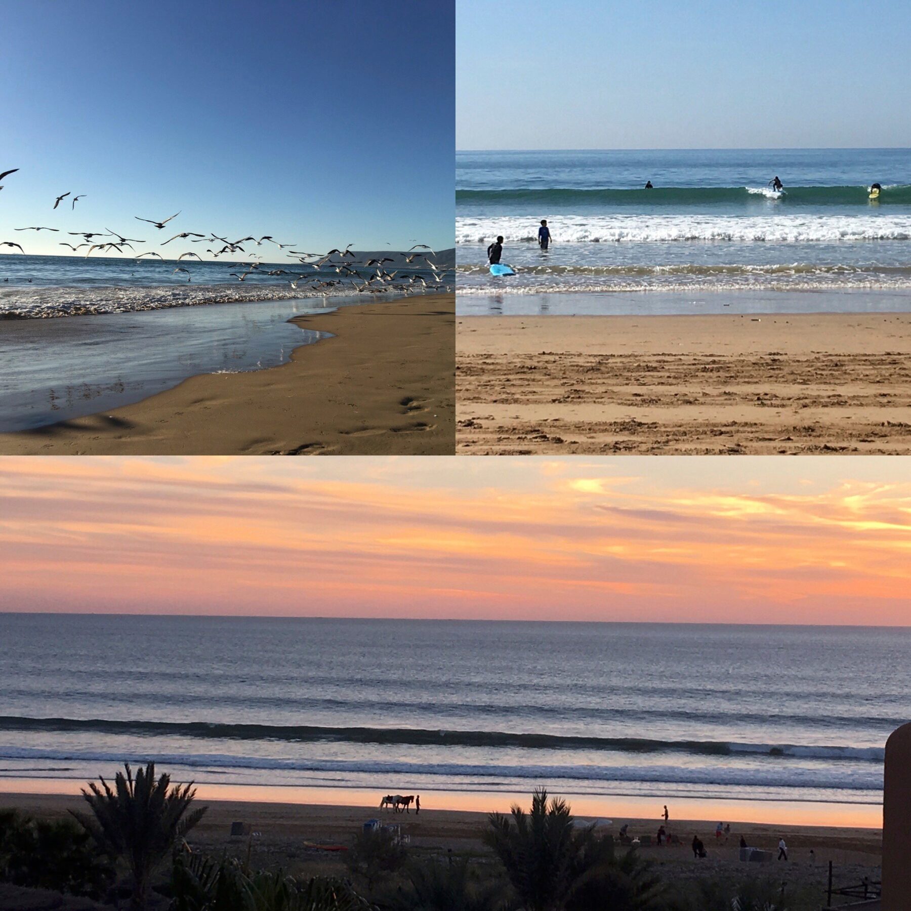 Crédit Florence Batisse-Pichet