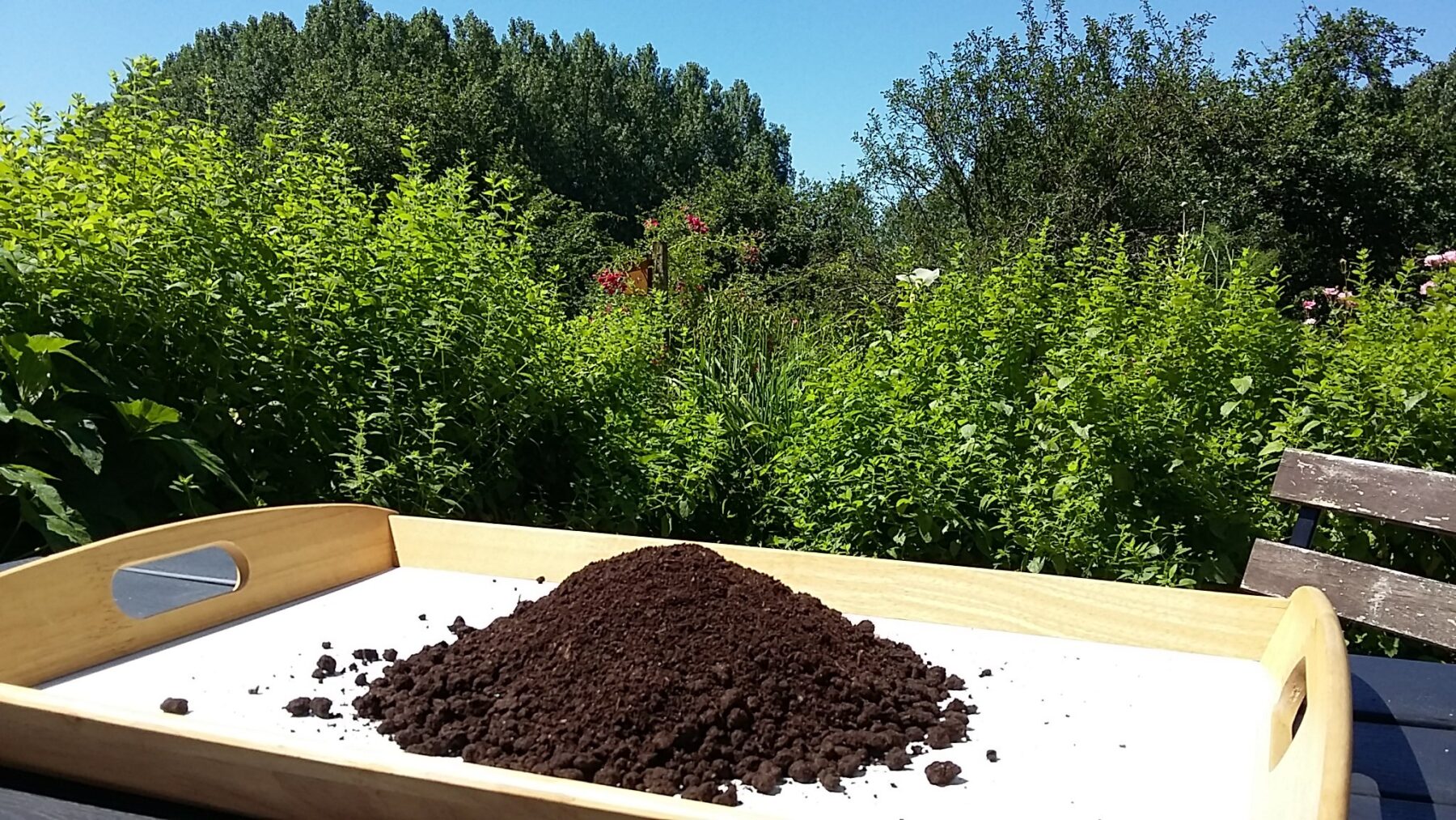 Tas de lombricompost - Crédit Benoit Volatier