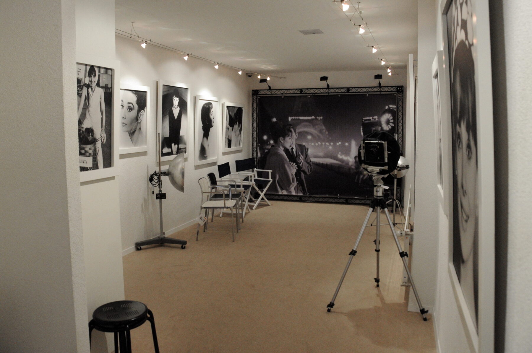 Fondation Bolle Salle Audrey Hepburn