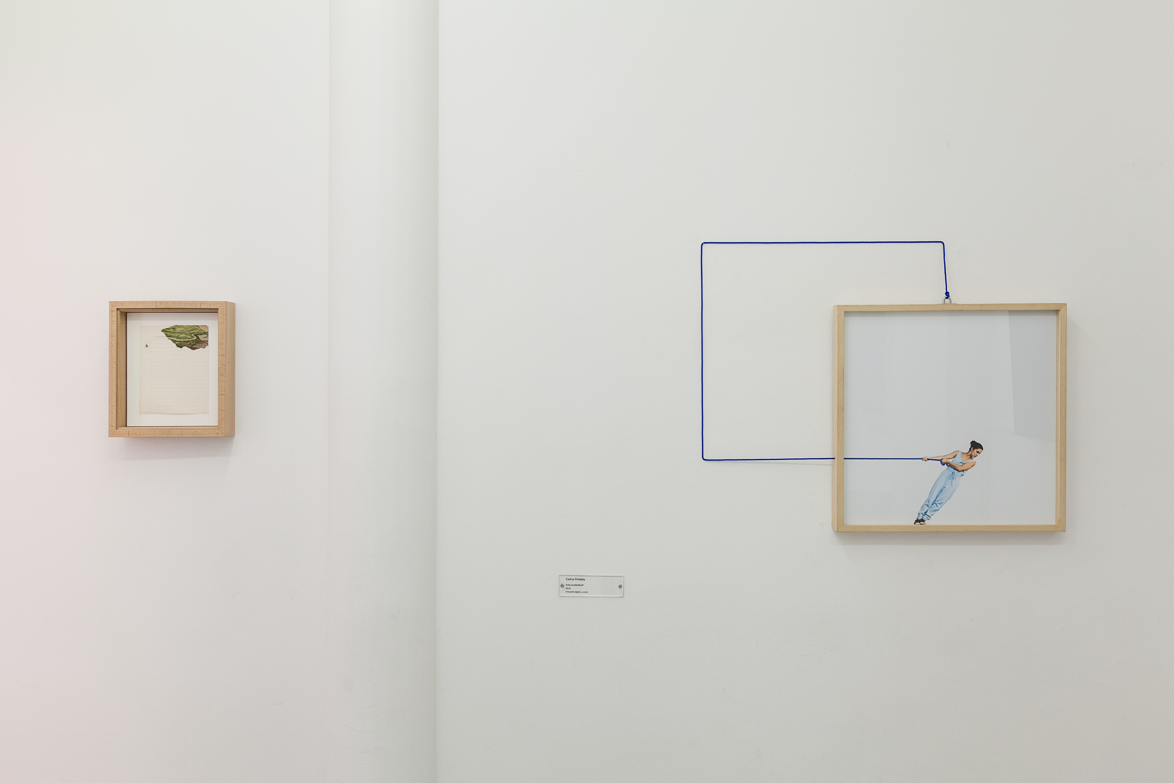 Celina Portella - Auto-Sustentavel, 2016 - Crédit Paul Nicoué - Courtesy fondation Hippocrène