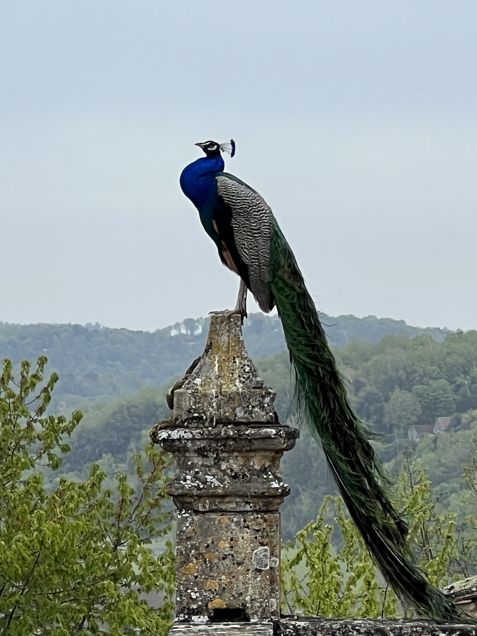 Crédit photo Chemin Lisant